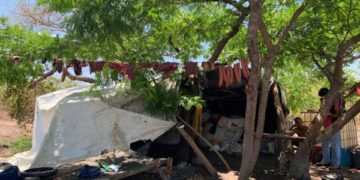 Grupo Móvel resgata cinco trabalhadores no município de Currais