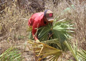 Trabalhadores são resgatados em Castelo do Piauí