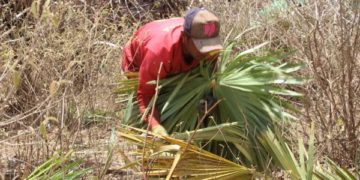 Trabalhadores são resgatados em Castelo do Piauí