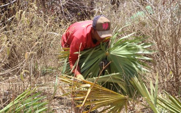 Trabalhadores são resgatados em Castelo do Piauí