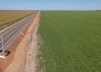 Empresa registra quase 1 milhão de horas trabalhadas sem acidentes com afastamento