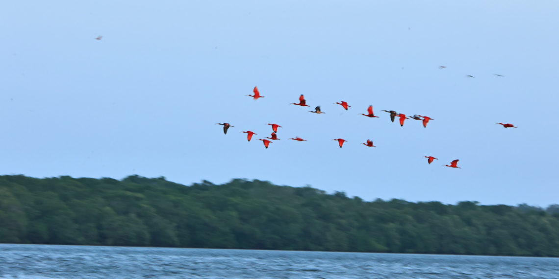 Campanha aumenta a visibilidade dos atrativos turísticos piauienses na Europa