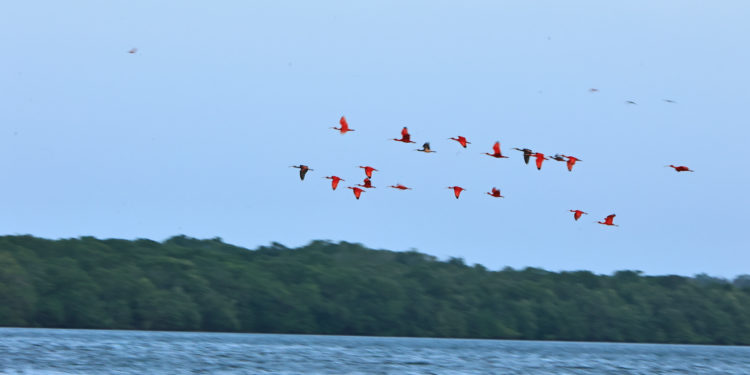Campanha aumenta a visibilidade dos atrativos turísticos piauienses na Europa