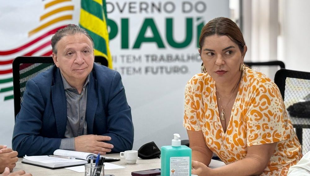 Aprovada instalação de 3 novas indústrias no Piauí, com investimentos de R$ 13,5 milhões