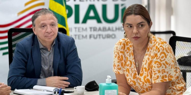 Aprovada instalação de 3 novas indústrias no Piauí, com investimentos de R$ 13,5 milhões