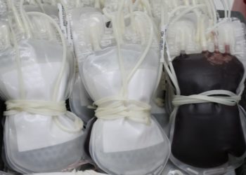 Instituto promove Trote Solidário Estudante Sangue Bom