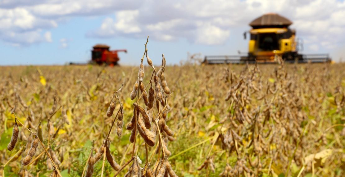 Balança Comercial do Piauí atinge R$ 52 milhões de superávit em março