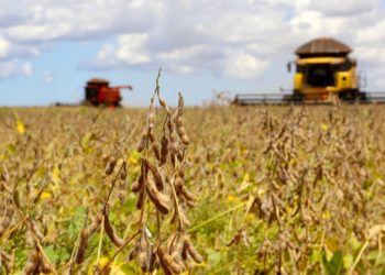 Balança Comercial do Piauí atinge R$ 52 milhões de superávit em março
