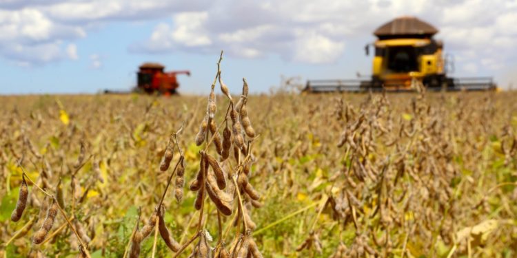 Balança Comercial do Piauí atinge R$ 52 milhões de superávit em março