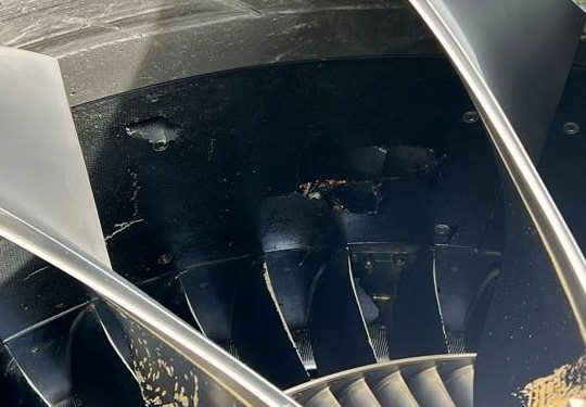 Aeroporto alerta população sobre riscos de descarte de lixo para a aviação