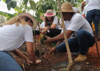 Teresina sedia a primeira mostra de arquitetura, arte, design de interiores e paisagismo