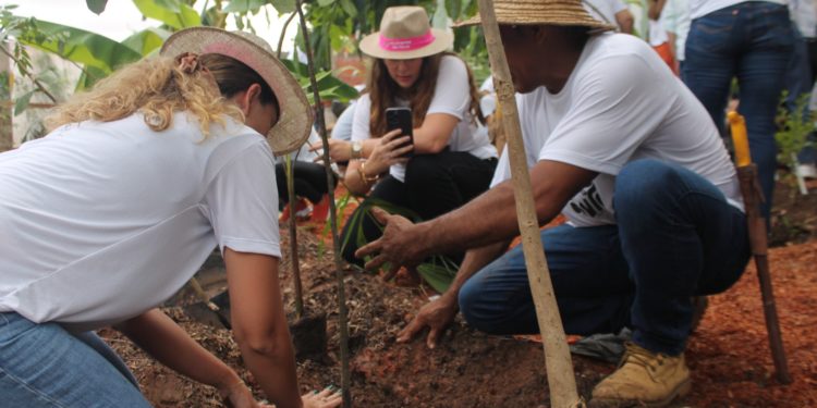 Teresina sedia a primeira mostra de arquitetura, arte, design de interiores e paisagismo