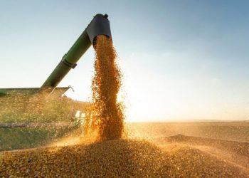 Piauí alcançou o maior valor em exportações do estado deste ano