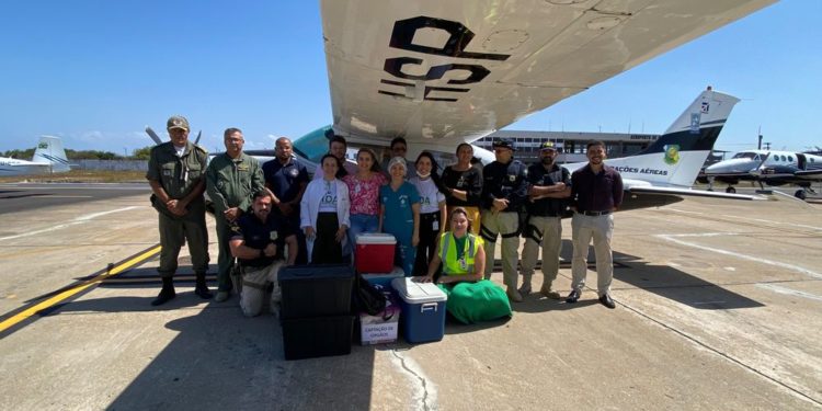 Sesapi realiza primeira captação de múltiplos órgãos no interior com auxílio do grupo aéreo da PM