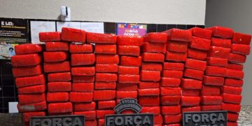 PM-PI apreende 293 tabletes de maconha avaliados em R$ 3 milhões em Valença