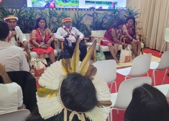 DIÁRIO DA COP: A LÍNGUA INGLESA E OS ATOS POLÍTICOS ATRAVÉS DO ESTÔMAGO